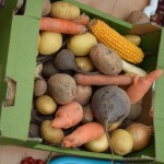 Suwałki Przedszkole nr 1 jesienny piknik rodzinny