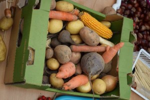 Suwałki Przedszkole nr 1 jesienny piknik rodzinny