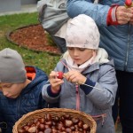 Suwałki Przedszkole nr 1 jesienny piknik rodzinny