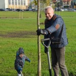 Suwałki Bulwary sadzenie drzew