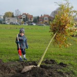 Suwałki Bulwary sadzenie drzew