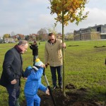 Suwałki Bulwary sadzenie drzew