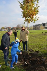 Suwałki Bulwary sadzenie drzew