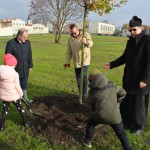 Suwałki Bulwary sadzenie drzew