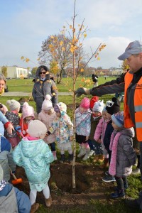 Suwałki Bulwary sadzenie drzew