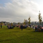Suwałki Bulwary sadzenie drzew