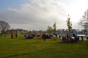 Suwałki Bulwary sadzenie drzew