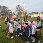 Suwałki Bulwary sadzenie drzew