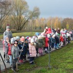 Suwałki Bulwary sadzenie drzew