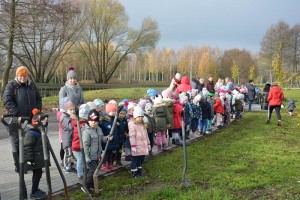 Suwałki Bulwary sadzenie drzew