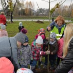 Suwałki Bulwary sadzenie drzew