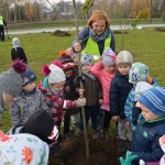 Suwałki Bulwary sadzenie drzew