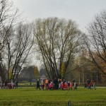 Suwałki Bulwary sadzenie drzew