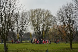 Suwałki Bulwary sadzenie drzew
