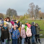 Suwałki Bulwary sadzenie drzew