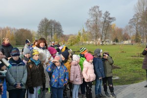 Suwałki Bulwary sadzenie drzew