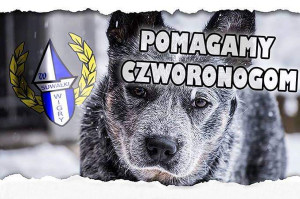Zbiórka karmy dla podopiecznych Fundacji Zwierzęta Nieczyje