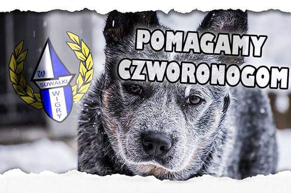 Suwałki Forza Wigry zbiórka karmy