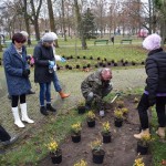 Suwałki Pryzmat sadzenie krzewów