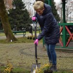 Suwałki Pryzmat sadzenie krzewów