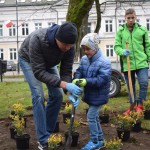 Suwałki Pryzmat sadzenie krzewów