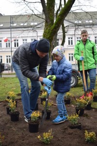 Suwałki Pryzmat sadzenie krzewów