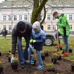 Suwałki Pryzmat sadzenie krzewów