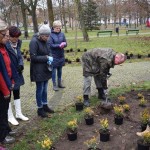 Suwałki Pryzmat sadzenie krzewów