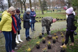 Suwałki Pryzmat sadzenie krzewów