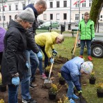 Suwałki Pryzmat sadzenie krzewów