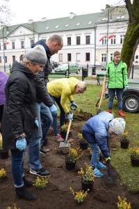 Suwałki Pryzmat sadzenie krzewów