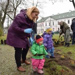 Suwałki Pryzmat sadzenie krzewów