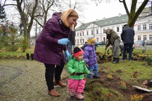 Suwałki Pryzmat sadzenie krzewów
