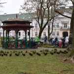 Suwałki Pryzmat sadzenie krzewów