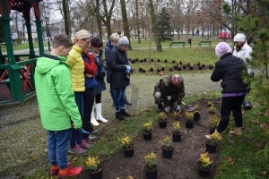 Suwałki Pryzmat sadzenie krzewów