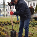 Suwałki Pryzmat sadzenie krzewów