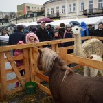 Suwałki Wigilia Miejska 2019