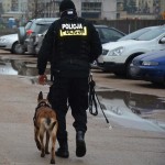 Suwałki policja pies tropiciel
