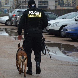 Suwałki policja pies tropiciel