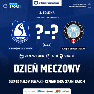 Mecz Ślepsk Malow Suwałki – Cerrad Enea Czarni Radom