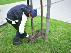 Suwałki działania porządkowe OSiR