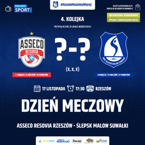 Mecz Ślepsk Malow Suwałki - Asseco Resovia Rzeszów