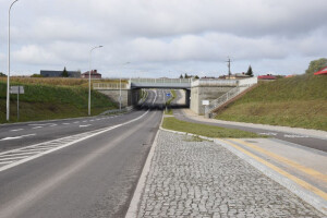 Kradzieże na ulicy 100-lecia Niepodległości