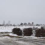 Suwałki rocznica Powstania Styczniowego