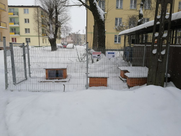 Suwałki budki dla kotów