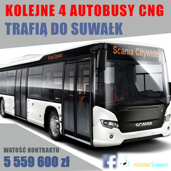 Suwałki nowe autobusy Scania