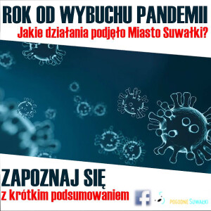 Ratusz podsumowuje rok od wybuchu pandemii