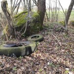 Wigierski Park Narodowy zbieranie śmieci Dzień Ziemi