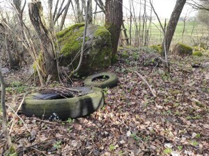 Wigierski Park Narodowy zbieranie śmieci Dzień Ziemi