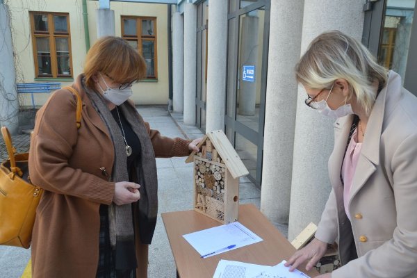 Suwałki budki dla owadów